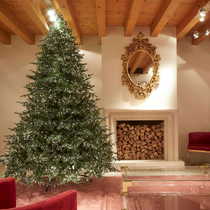 EDG – Pino Argentato H.210 C/4000 miniled Albero di Natale Tradizionale EDG 