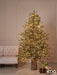 EDG Albero di Natale Pino Luxury con led h.180 cm Albero di Natale Tradizionale EDG 