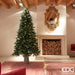 EDG Albero di Natale ''Pino Merano'' con LED H.210cm Albero di Natale Tradizionale EDG 