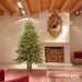 EDG Albero di Natale Pino Luxury con led h.210 cm Albero di Natale Tradizionale EDG 