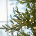 EDG Albero di Natale Pino Luxury con led h.300 cm Albero di Natale Tradizionale EDG 