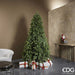 EDG Albero di Natale ''Pino Merano'' senza Led H210 cm D132 Albero di Natale Tradizionale EDG 